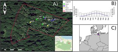 Combining Dendrometer Series and Xylogenesis Imagery—DevX, a Simple Visualization Tool to Explore Plant Secondary Growth Phenology